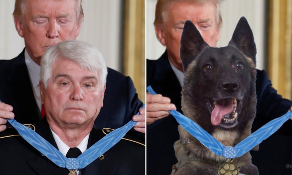 Ông Trump đăng ảnh chỉnh sửa chó nghiệp vụ tiêu diệt trùm IS gây tranh cãi - Ảnh 2. Ông Trump đăng ảnh chỉnh sửa chó nghiệp vụ tiêu diệt trùm IS gây tranh cãi - Ảnh 2.