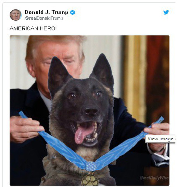 Ông Trump đăng ảnh chỉnh sửa chó nghiệp vụ tiêu diệt trùm IS gây tranh cãi - Ảnh 1. Ông Trump đăng ảnh chỉnh sửa chó nghiệp vụ tiêu diệt trùm IS gây tranh cãi - Ảnh 1.