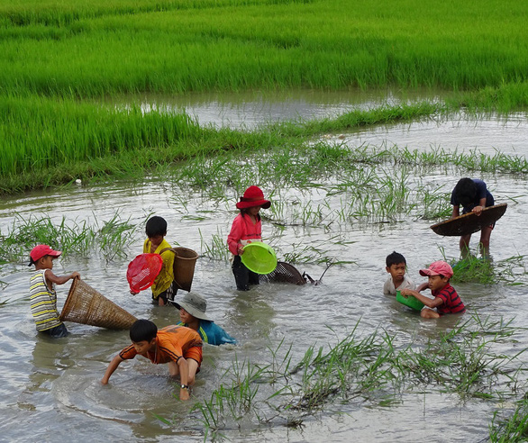 Sáng giờ em bắt được ba con cá, em kính tặng thầy - Ảnh 1.