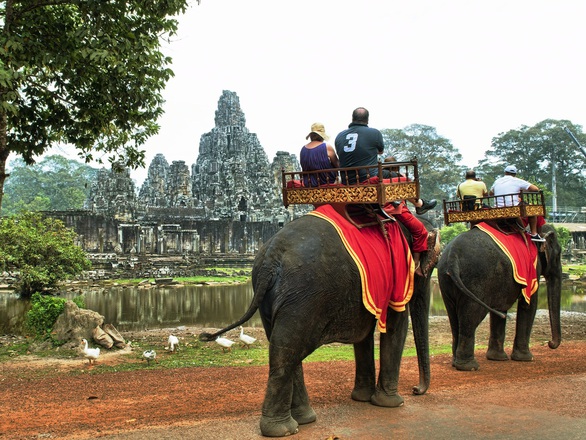 Campuchia cấm du khách cưỡi voi ở Angkor - Ảnh 1. Campuchia cấm du khách cưỡi voi ở Angkor - Ảnh 1.