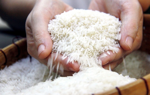 ST25 là Sóc Trăng 25: Cơ hội vàng cho gạo Việt, nhưng mua ở đâu? - Ảnh 1. ST25 là Sóc Trăng 25: Cơ hội vàng cho gạo Việt, nhưng mua ở đâu? - Ảnh 1.