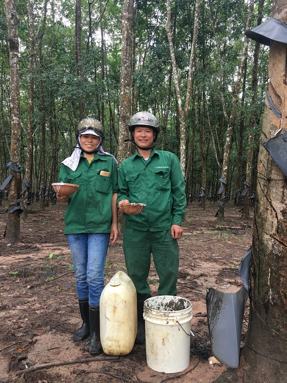 Những công nhân tỉ phú ở Binh đoàn 15 - Ảnh 1. Những công nhân tỉ phú ở Binh đoàn 15 - Ảnh 1.