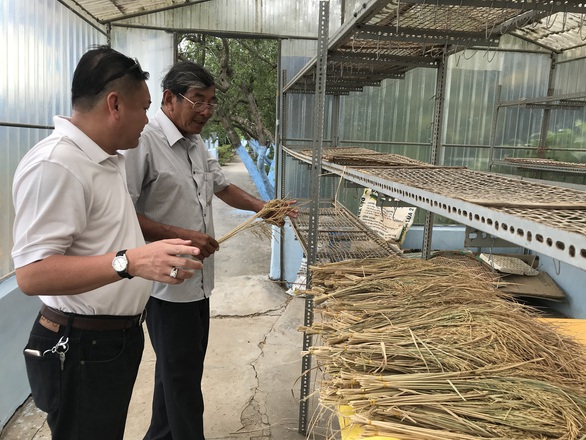 Gạo ST25 ngon nhất thế giới cháy hàng - Ảnh 2. Gạo ST25 ngon nhất thế giới cháy hàng - Ảnh 2.