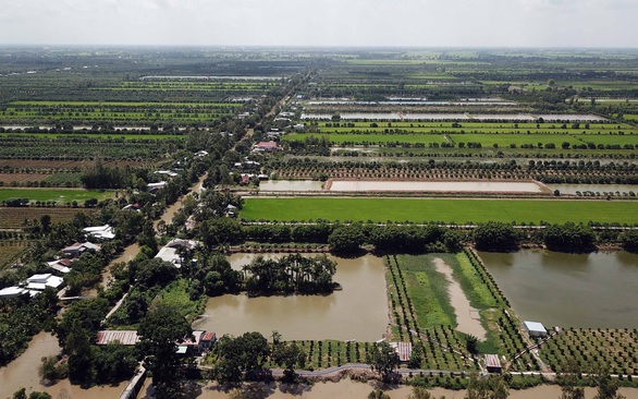 Nông trường Sông Hậu sẽ được giải cứu như thế nào? - Ảnh 2. Nông trường Sông Hậu sẽ được giải cứu như thế nào? - Ảnh 2.