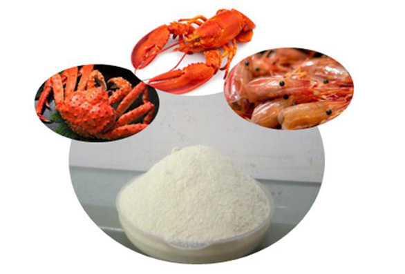 Nghiên cứu mới về việc ứng dụng vật liệu Chitosan - Ảnh 1. Nghiên cứu mới về việc ứng dụng vật liệu Chitosan - Ảnh 1.