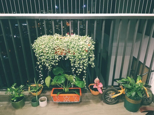 Cư dân Imperia Sky Garden háo hức nhận nhà mới - Ảnh 4. Cư dân Imperia Sky Garden háo hức nhận nhà mới - Ảnh 4.