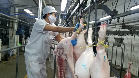 Giá thịt heo lập đỉnh trong nhiều năm - Ảnh 1. Giá thịt heo lập đỉnh trong nhiều năm - Ảnh 1.