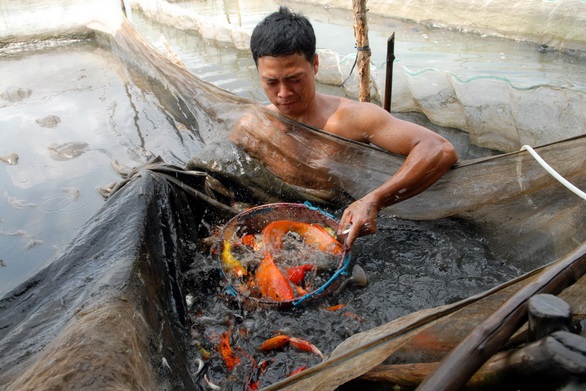 Thi ảnh Tuổi Xanh: Nét đẹp lao động - Ảnh 1. Thi ảnh Tuổi Xanh: Nét đẹp lao động - Ảnh 1.