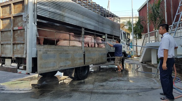 Vissan đề nghị được tăng giá thịt heo bình ổn - Ảnh 2. Vissan đề nghị được tăng giá thịt heo bình ổn - Ảnh 2.