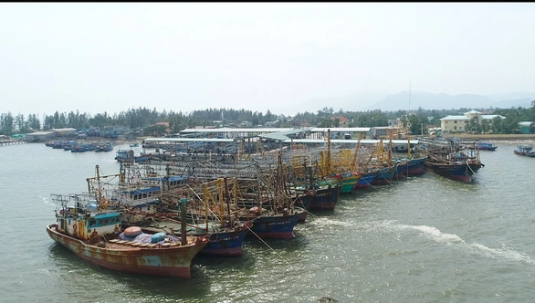 Làm rõ tàu 67 chìm... mất xác - Ảnh 1. Làm rõ tàu 67 chìm... mất xác - Ảnh 1.