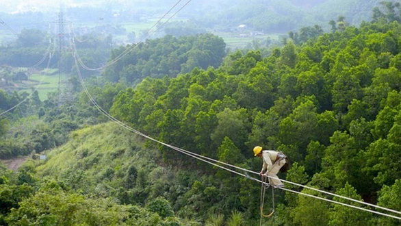 Những người nhện xuyên Việt - Kỳ cuối: Ruồi vàng, bọ chó, gió Đắk Glei - Ảnh 2. Những người nhện xuyên Việt - Kỳ cuối: Ruồi vàng, bọ chó, gió Đắk Glei - Ảnh 2.