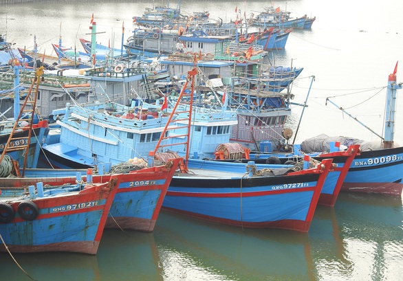 Còn một tàu đánh bắt trái phép, EC sẽ không rút thẻ vàng - Ảnh 1. Còn một tàu đánh bắt trái phép, EC sẽ không rút thẻ vàng - Ảnh 1.