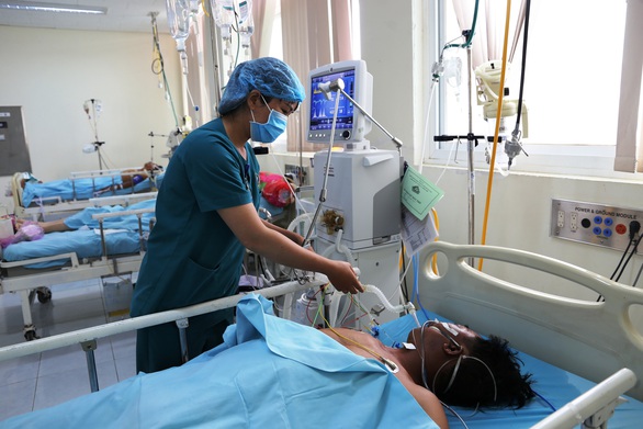 Đừng để mất mạng vì cá nóc - Ảnh 1. Đừng để mất mạng vì cá nóc - Ảnh 1.