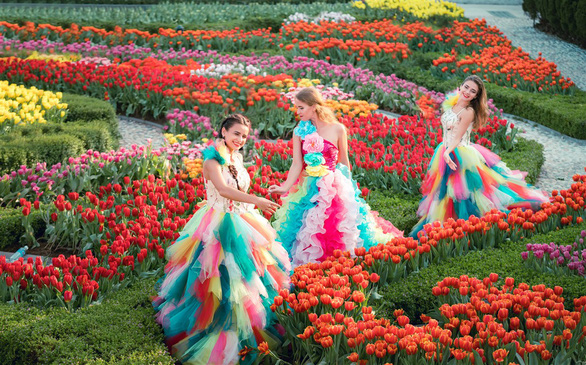 Thanh xuân có hạn, chờ chi mà không đến cánh đồng hoa tulip lớn nhất Việt Nam - Ảnh 1. Thanh xuân có hạn, chờ chi mà không đến cánh đồng hoa tulip lớn nhất Việt Nam - Ảnh 1.
