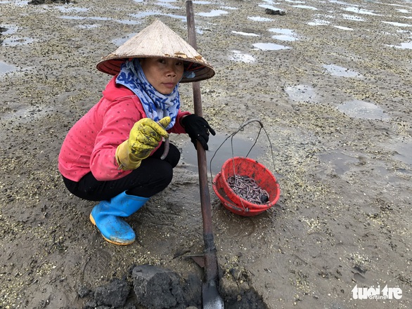 Theo chân những phụ nữ đào vàng ròng trên bãi biển Vân Đồn - Ảnh 3. Theo chân những phụ nữ đào vàng ròng trên bãi biển Vân Đồn - Ảnh 3.