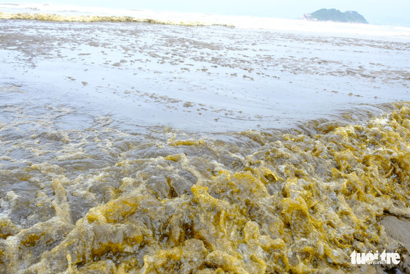 Nước biển đen như cà phê ở Dung Quất - Ảnh 2. Nước biển đen như cà phê ở Dung Quất - Ảnh 2.