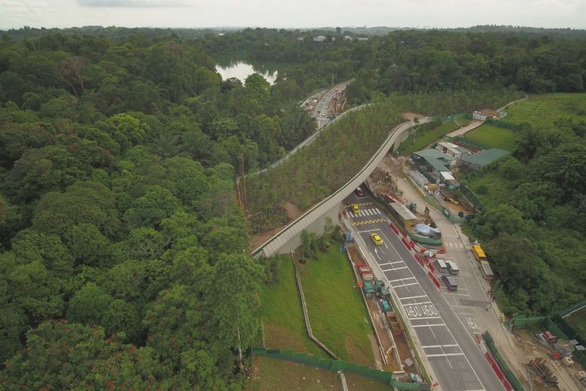 Singapore làm cầu vượt trồng cây rừng dành cho động vật - Ảnh 1. Singapore làm cầu vượt trồng cây rừng dành cho động vật - Ảnh 1.