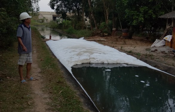 Kênh xuất hiện bọt trắng xóa như xà phòng, cá chết la liệt - Ảnh 3. Kênh xuất hiện bọt trắng xóa như xà phòng, cá chết la liệt - Ảnh 3.