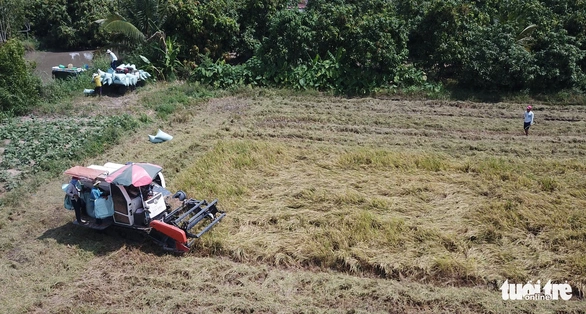 Đối sách các nước tiêu dùng thay đổi, gạo Việt gặp áp lực - Ảnh 3. Đối sách các nước tiêu dùng thay đổi, gạo Việt gặp áp lực - Ảnh 3.