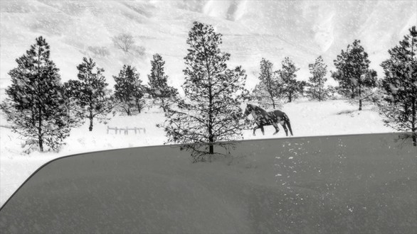 24 Frames - Lời giã biệt đầy chất thơ của Abbas Kiarostami - Ảnh 5. 24 Frames - Lời giã biệt đầy chất thơ của Abbas Kiarostami - Ảnh 5.
