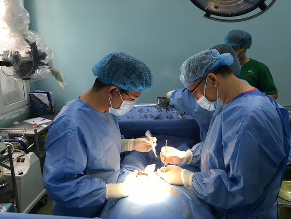 Chăm sóc heo con, người đàn ông bị heo mẹ táp mất da dương vật - Ảnh 1. Chăm sóc heo con, người đàn ông bị heo mẹ táp mất da dương vật - Ảnh 1.