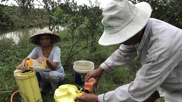 Thuốc diệt cỏ gây ung thư: dây dưa không cấm, bất lợi cho nông nghiệp - Ảnh 1. Thuốc diệt cỏ gây ung thư: dây dưa không cấm, bất lợi cho nông nghiệp - Ảnh 1.