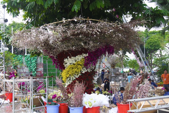 20.000 cành hoa anh đào khoe sắc tại vườn hoa Lý Thái Tổ - Ảnh 3. 20.000 cành hoa anh đào khoe sắc tại vườn hoa Lý Thái Tổ - Ảnh 3.