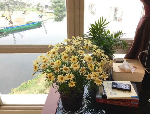 Mua nhà rồi cưới, hay cưới rồi tính? - Ảnh 1. Mua nhà rồi cưới, hay cưới rồi tính? - Ảnh 1.