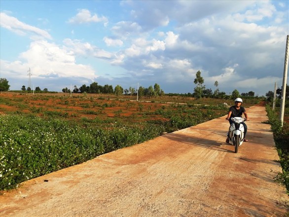 Khiển trách chủ tịch, cảnh cáo phó chủ tịch TP Pleiku - Ảnh 1. Khiển trách chủ tịch, cảnh cáo phó chủ tịch TP Pleiku - Ảnh 1.