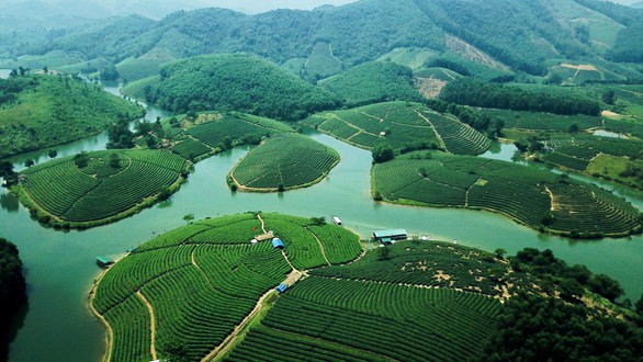 Saigontourist cam kết hỗ trợ phát triển du lịch Nghệ An - Ảnh 3. Saigontourist cam kết hỗ trợ phát triển du lịch Nghệ An - Ảnh 3.