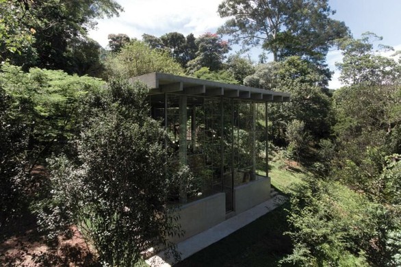 Nhà kính “lánh đời” của vị học giả giữa rừng nhiệt đới Brazil - Ảnh 4. Nhà kính “lánh đời” của vị học giả giữa rừng nhiệt đới Brazil - Ảnh 4.