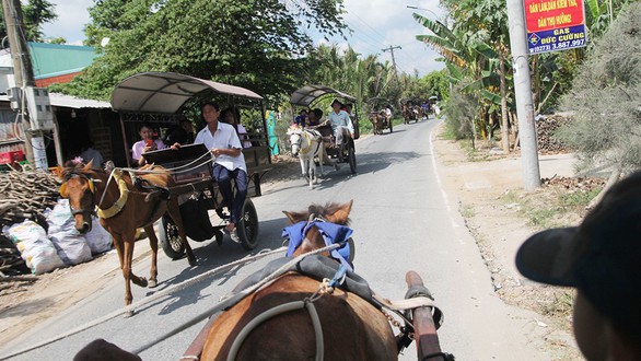 Du lịch miệt vườn miền Tây đói khách - Ảnh 2. Du lịch miệt vườn miền Tây đói khách - Ảnh 2.