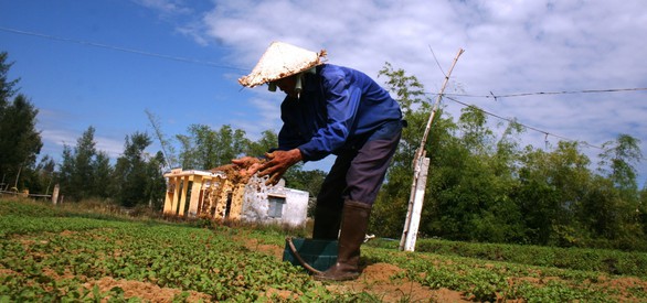 Làng ĐH Đà Nẵng treo hơn 20 năm đang chuyển động - Ảnh 2. Làng ĐH Đà Nẵng treo hơn 20 năm đang chuyển động - Ảnh 2.