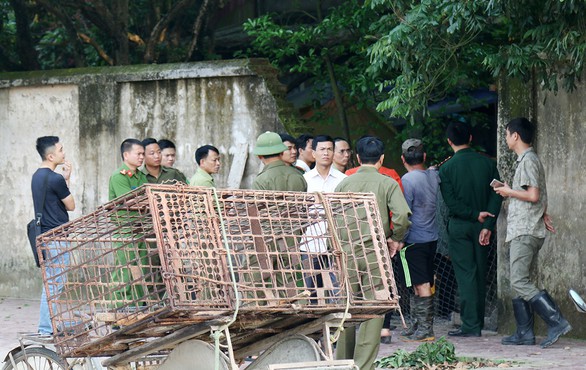 Chủ đàn chó cắn chết bé trai có thể ở tù - Ảnh 1. Chủ đàn chó cắn chết bé trai có thể ở tù - Ảnh 1.