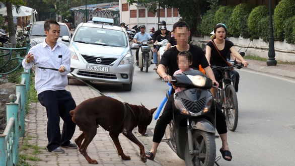 Cả xóm, cả công viên... xanh mặt với chó mặt xệ, chó becgiê Bỉ - Ảnh 1. Cả xóm, cả công viên... xanh mặt với chó mặt xệ, chó becgiê Bỉ - Ảnh 1.