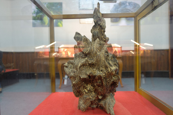 Triển lãm yến sào và trầm hương Khánh Hòa hút khách du lịch - Ảnh 5. Triển lãm yến sào và trầm hương Khánh Hòa hút khách du lịch - Ảnh 5.