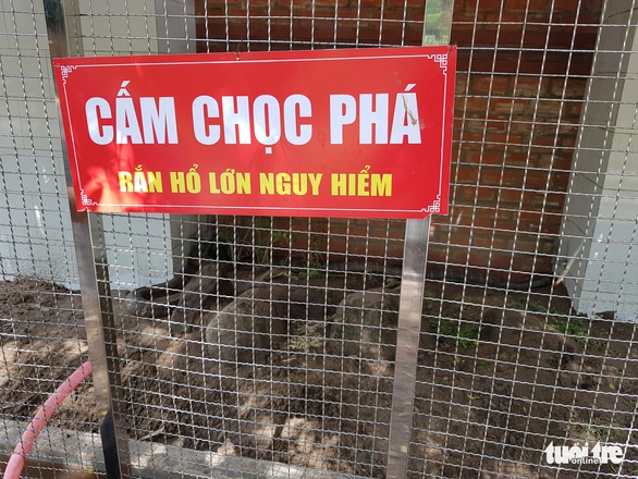 Còn nhiều rắn hổ mây khủng dưới chân Núi Cấm - Ảnh 5. Còn nhiều rắn hổ mây khủng dưới chân Núi Cấm - Ảnh 5.