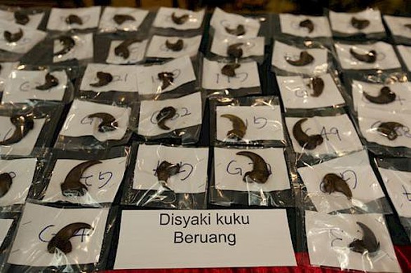 Hai người Việt săn trộm thú bị Malaysia tuyên phạt gần 9 tỉ đồng - Ảnh 1. Hai người Việt săn trộm thú bị Malaysia tuyên phạt gần 9 tỉ đồng - Ảnh 1.