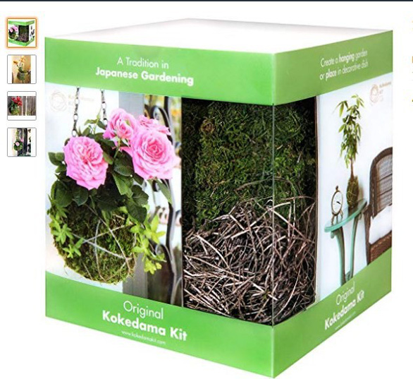 Tô điểm không gian sống với nghệ thuật trồng cây Kokedama của người Nhật - Ảnh 2. Tô điểm không gian sống với nghệ thuật trồng cây Kokedama của người Nhật - Ảnh 2.