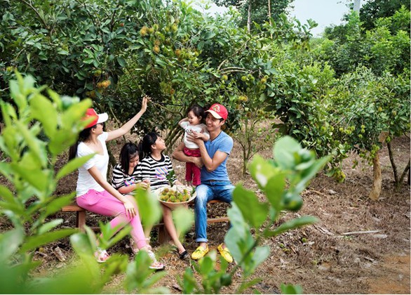 Vườn cây ăn trái 25 hecta giữa lòng Madagui - Ảnh 2. Vườn cây ăn trái 25 hecta giữa lòng Madagui - Ảnh 2.
