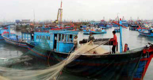 Bảo vệ nguồn lợi thủy sản là bảo vệ ngư dân - Ảnh 1.