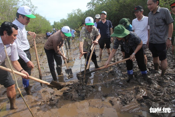Trồng 2.000 cây mắm ven biển chống sạt lở - Ảnh 1. Trồng 2.000 cây mắm ven biển chống sạt lở - Ảnh 1.