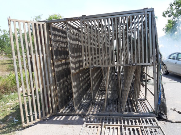Tài xế chở vịt gặp nạn và câu chuyện chia sẻ của cộng đồng mạng - Ảnh 1. Tài xế chở vịt gặp nạn và câu chuyện chia sẻ của cộng đồng mạng - Ảnh 1.
