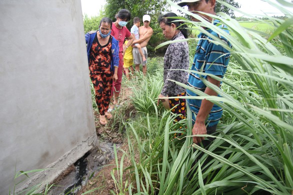Nuôi vịt xả thải ra kênh: bò hết nước uống, cá tôm không còn - Ảnh 4. Nuôi vịt xả thải ra kênh: bò hết nước uống, cá tôm không còn - Ảnh 4.