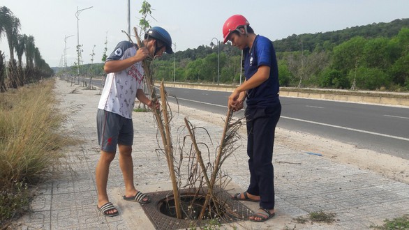 Hơn 100 nắp cống bị lấy trộm trên đường đẹp nhất Phú Quốc - Ảnh 1. Hơn 100 nắp cống bị lấy trộm trên đường đẹp nhất Phú Quốc - Ảnh 1.