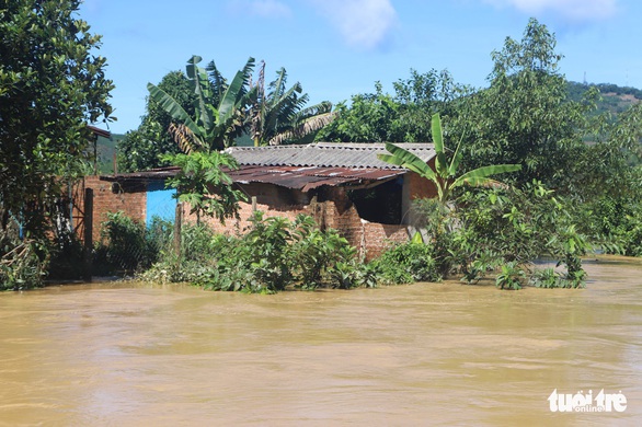 Sau mưa lớn, ngoại ô TP Bảo Lộc chìm trong biển nước - Ảnh 3. Sau mưa lớn, ngoại ô TP Bảo Lộc chìm trong biển nước - Ảnh 3.
