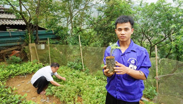 Huyền thoại pơmu - Ảnh 5. Huyền thoại pơmu - Ảnh 5.