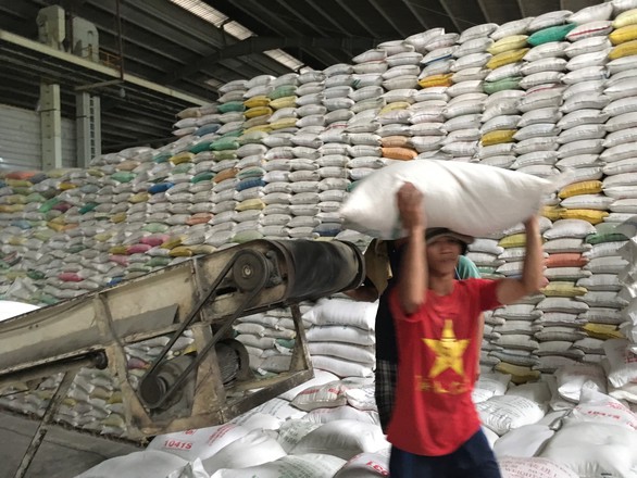 Xuất khẩu gạo giảm mạnh tạo áp lực lên tiêu thụ lúa hè thu - Ảnh 1. Xuất khẩu gạo giảm mạnh tạo áp lực lên tiêu thụ lúa hè thu - Ảnh 1.