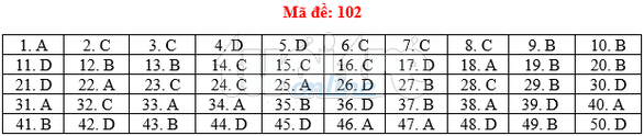 Bài giải gợi ý môn toán thi THPT quốc gia 2019 - đủ 24 mã đề - Ảnh 3. Bài giải gợi ý môn toán thi THPT quốc gia 2019 - đủ 24 mã đề - Ảnh 3.