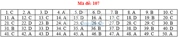Bài giải gợi ý môn toán thi THPT quốc gia 2019 - đủ 24 mã đề - Ảnh 8. Bài giải gợi ý môn toán thi THPT quốc gia 2019 - đủ 24 mã đề - Ảnh 8.